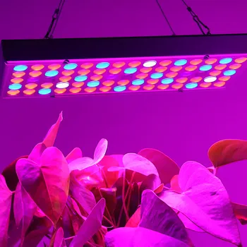 Rosnące żarówki 75 diod led rosną światła 25 W AC85-265V pełną gamę oświetlenia roślin фитолампы dla roślin kwiaty, Uprawy sadzonek