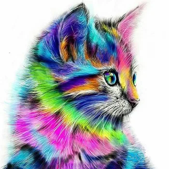 Obramowania streszczenie kot zwierzę DIY Painting By Numbers farba akrylowa na płótnie Drawing Paint By Numbers wyjątkowy prezent na ścianie