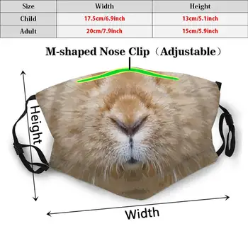 Bunny Rabbit Face Adult Kids Osiadaniu Kurzu Pm2.5 Filter Diy Mask Bunny Rabbit Lips Face Nose Animal 