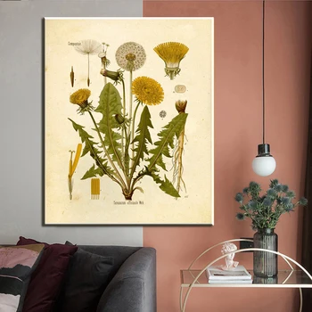 Rocznika botaniczne wzory kwiaty wydruki na płótnie Malarstwo plakaty francuskie ilustracje roślin ścienne artystyczne nadruki wzory do domu