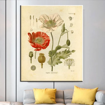 Rocznika botaniczne wzory kwiaty wydruki na płótnie Malarstwo plakaty francuskie ilustracje roślin ścienne artystyczne nadruki wzory do domu