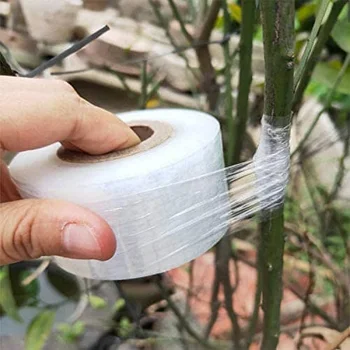 Cinta de injerto estirable autoadhesivo biodegradable 100 m 25 mm Tran