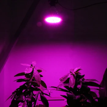 Hurtownia! 9szt 100W LED Phyto Lamp E27 Full Spectrum led Grow Light Plant Flowers Growing Seeds Lighting led fitolamp Growlight